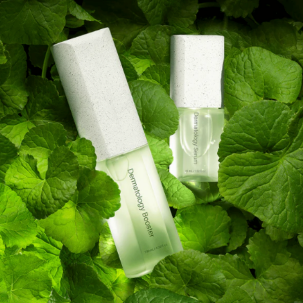 Centella Asiatica leaves — Giant Byungpool